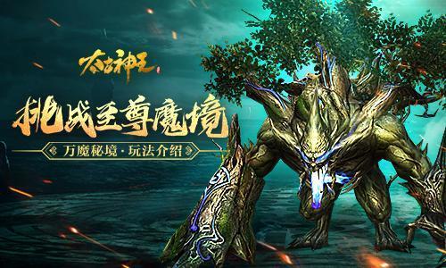 胖小猫救援