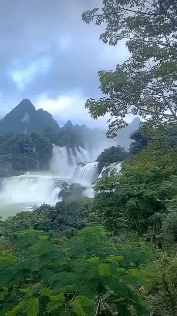 贾玲与雷佳音:被资本绑架的搭档?