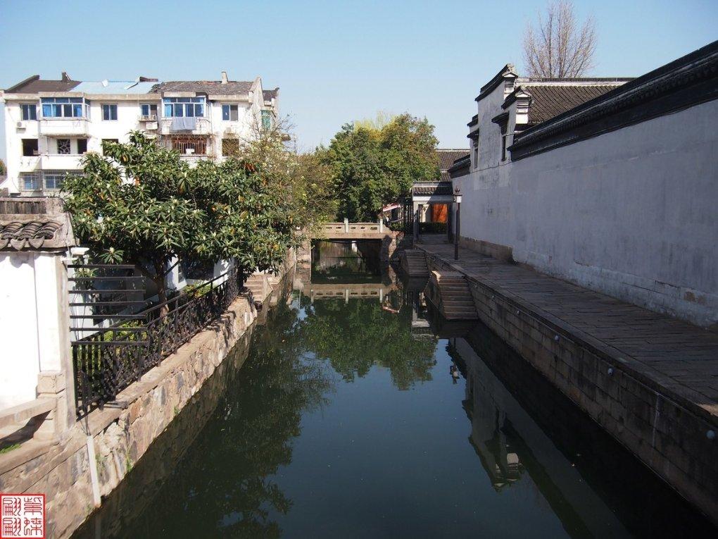 拯救精灵的土地5