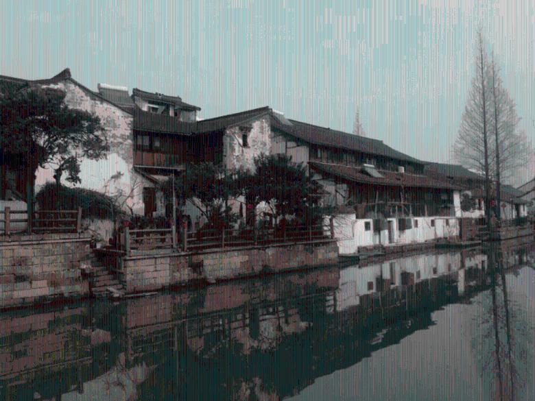 拯救小松鼠