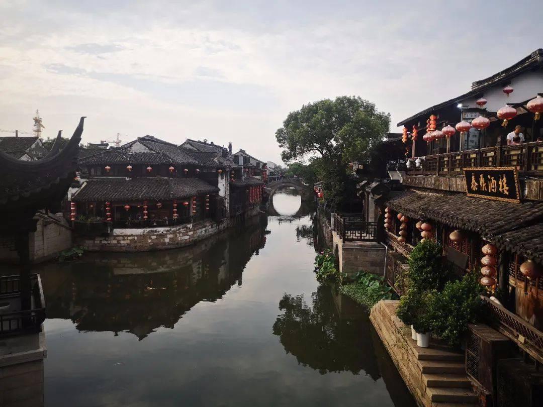 冬游贵州丨遵义余庆:茶园换银装,雪景美如画
