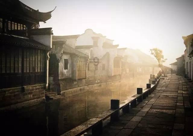 猪场怼怼乐